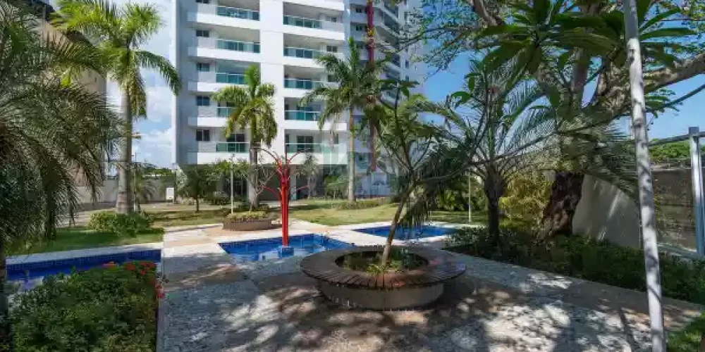 352828978_239628473_g