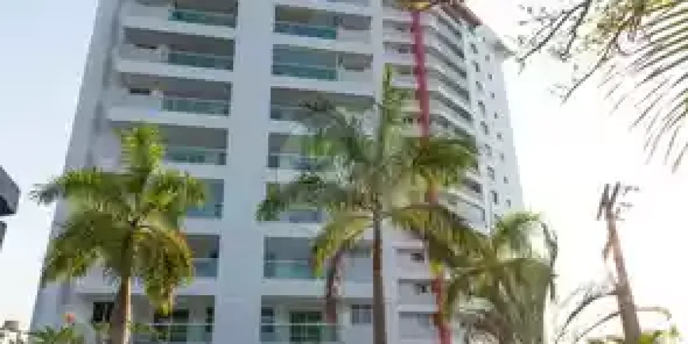 352828978_239628481_g